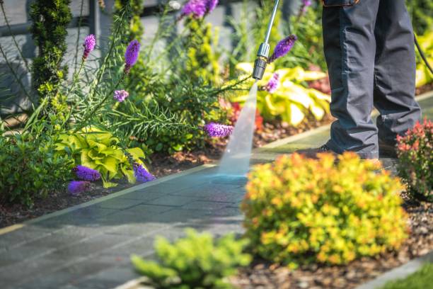 Trusted Twin Lakes, WI Pressure Washing Services Experts